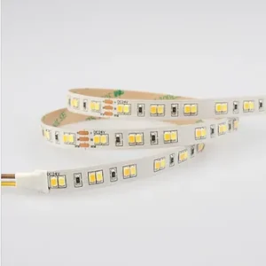 SMD 2835 120Leds/m 10mm Tunable White