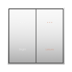 Scene Push button 2W