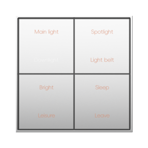 Scene Push button 8W