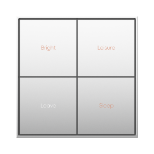 Scene Push button 4W