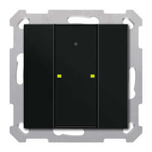 KNX Push Button Plus TS 55 2 gang, Black matt finish